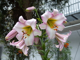 Foto: Dr. Peter Müller